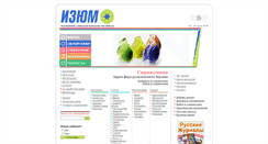 Desktop Screenshot of izum.de